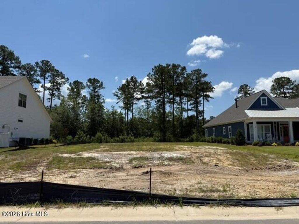 Photo of 5042 Saltgrass Cove, Leland, NC 28451 (MLS # 100580893)