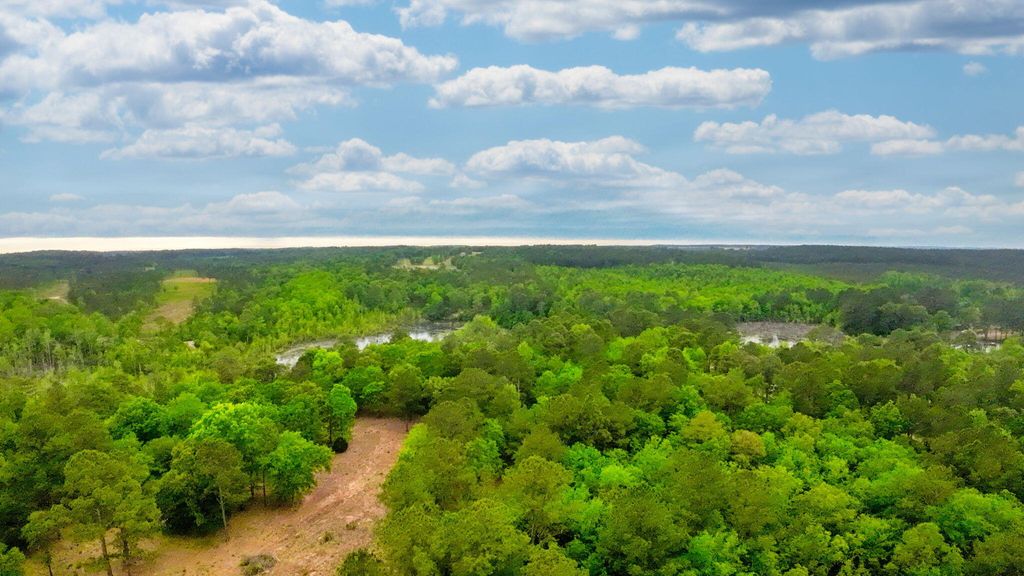 Photo of 231 Holley Pond Road, Batesburg-Leesville, SC 29006 (MLS # 555242)