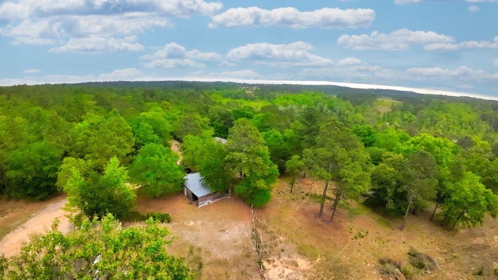 Photo of 231 Holley Pond Road, Batesburg-Leesville, SC 29006 (MLS # 555242)