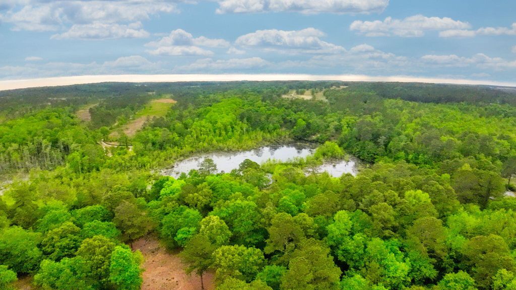 Photo of 231 Holley Pond Road, Batesburg-Leesville, SC 29006 (MLS # 555242)