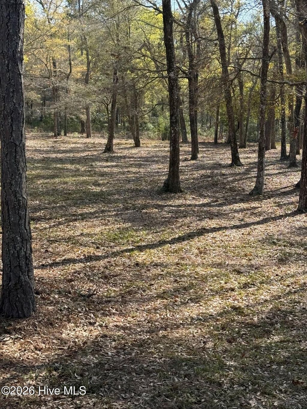 Photo of 2168 Clambake Court SW, Supply, NC 28462 (MLS # 100562594)