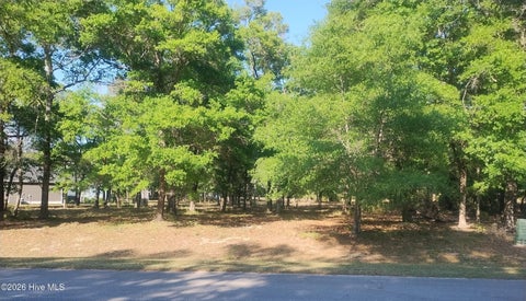 Vacant Land For Sale - 2168 Clambake Court<br/> Supply, NC 28462