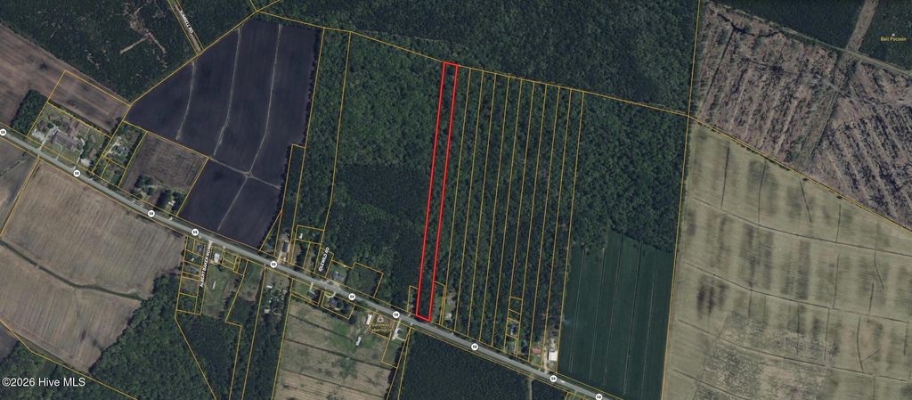 Photo of 0 Highway 58 NW, Kinston, NC 28504 (MLS # 100568019)