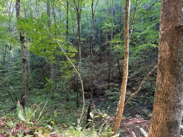 Photo of 5 Tyler Lane, Marble, NC 28905 (MLS # 100603131)