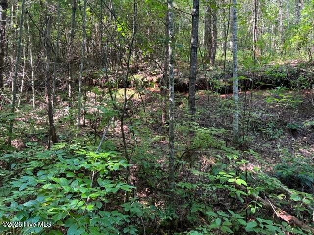 Photo of 5 Tyler Lane, Marble, NC 28905 (MLS # 100603131)