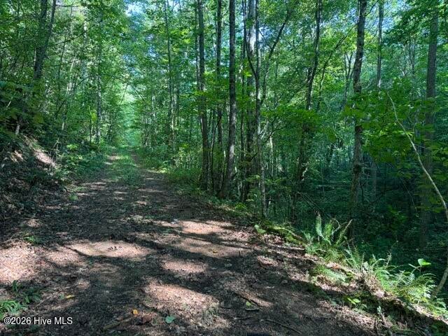 Photo of 5 Tyler Lane, Marble, NC 28905 (MLS # 100603131)