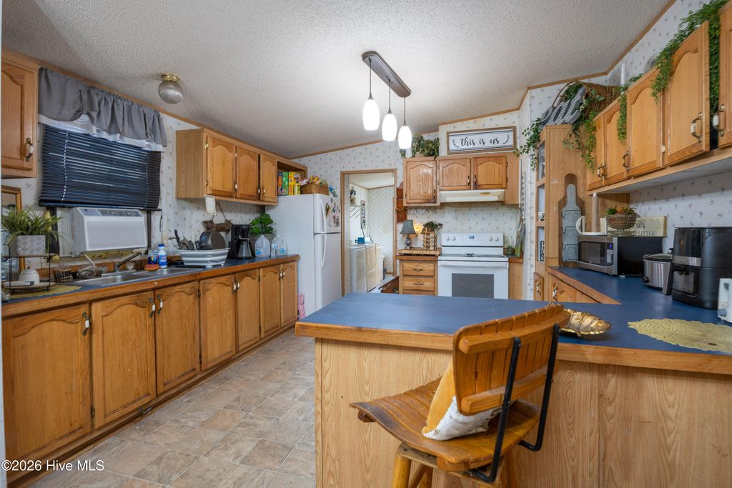 Photo of 125 Cranberry Lane, Clinton, NC 28328 (MLS # 100552669)