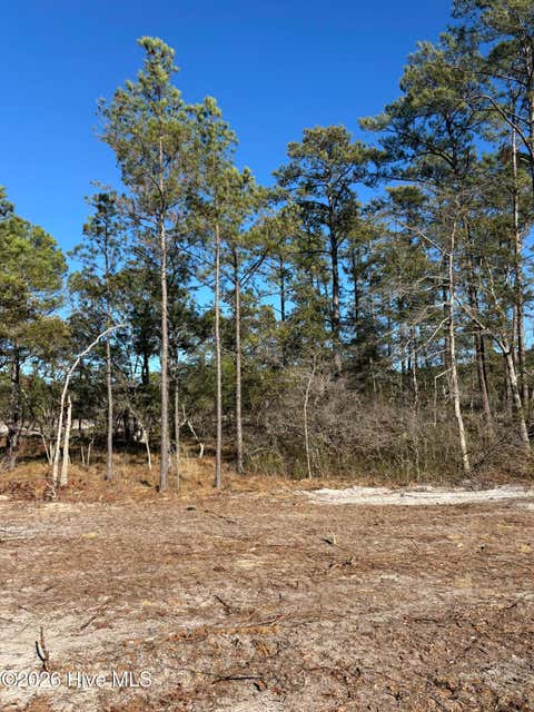 Vacant Land For Sale - LOT 143 Louisa Cay Street<br/> Southport, NC 28461