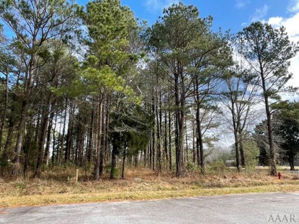 Photo of 0 New Road, Columbia, NC 27925 (MLS # 100544764)