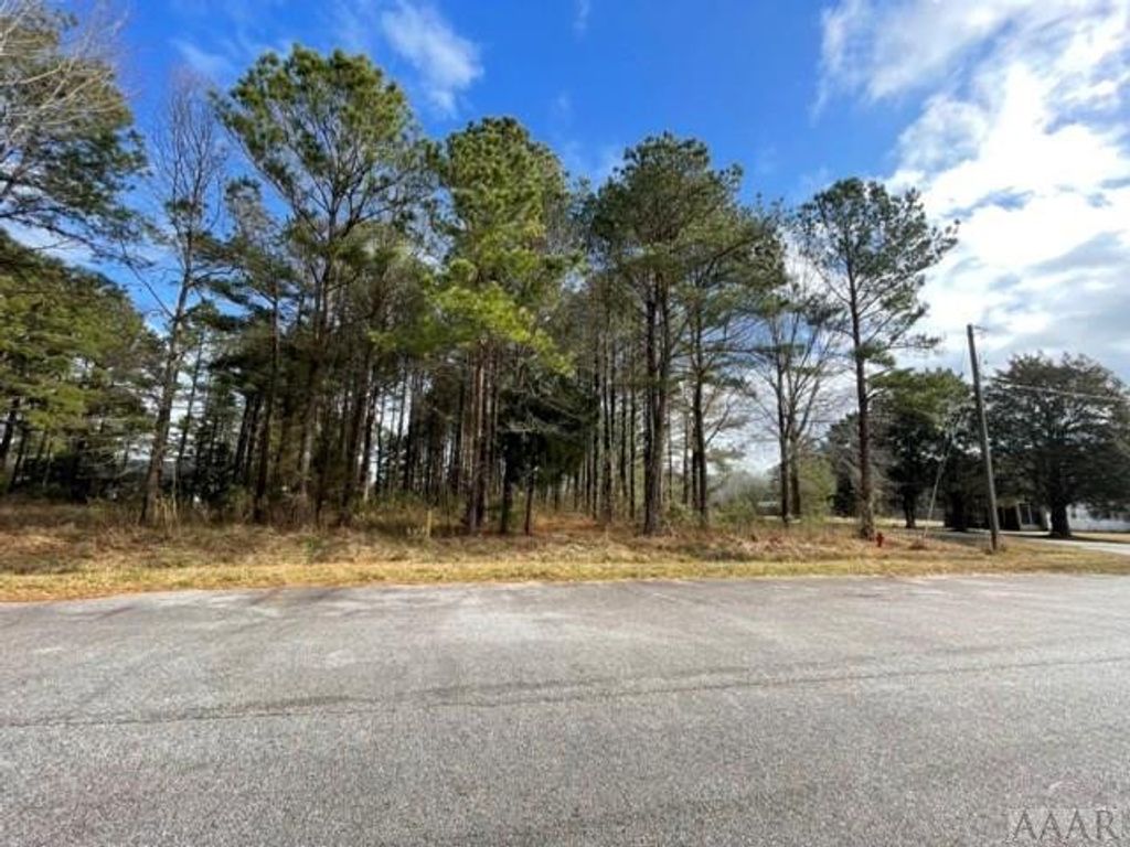 Photo of 0 New Road, Columbia, NC 27925 (MLS # 100544764)