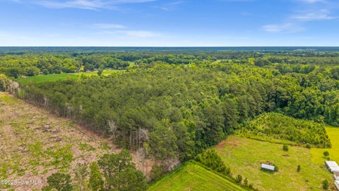 Tiny photo for 000 Willard Road, Willard, NC 28478 (MLS # 100583598)
