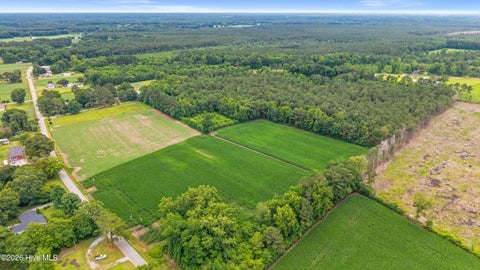 Tiny photo for 000 Willard Road, Willard, NC 28478 (MLS # 100583598)