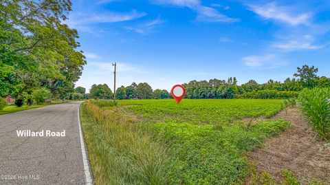 Tiny photo for 000 Willard Road, Willard, NC 28478 (MLS # 100583598)