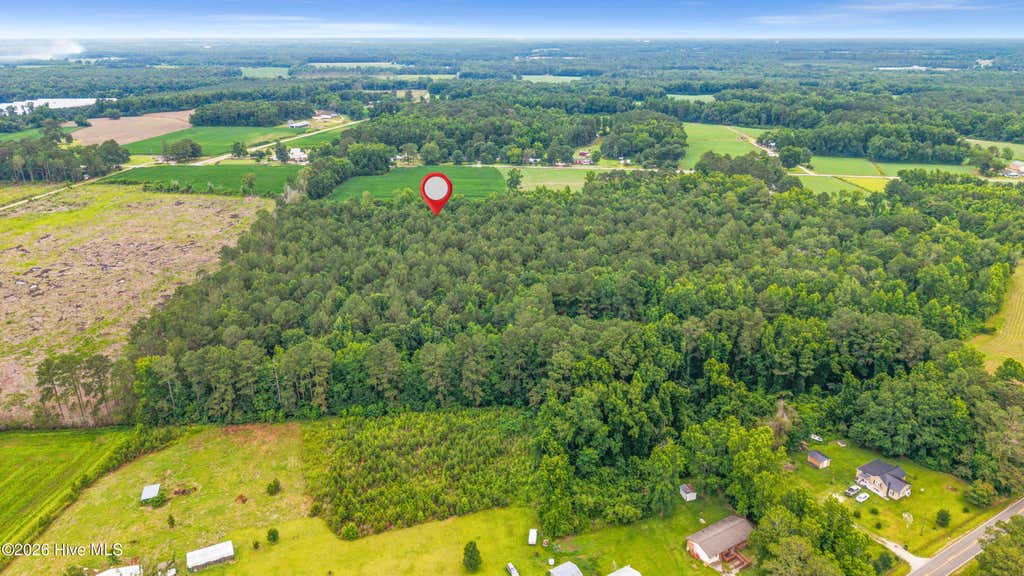 Photo of 000 Willard Road, Willard, NC 28478 (MLS # 100583598)