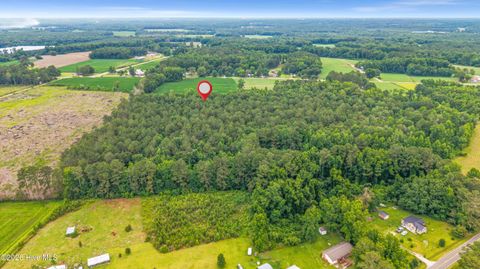 Tiny photo for 000 Willard Road, Willard, NC 28478 (MLS # 100583598)