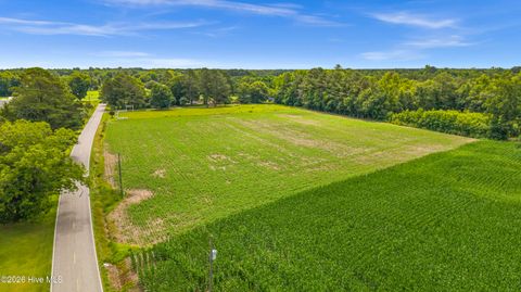 Tiny photo for 000 Willard Road, Willard, NC 28478 (MLS # 100583598)