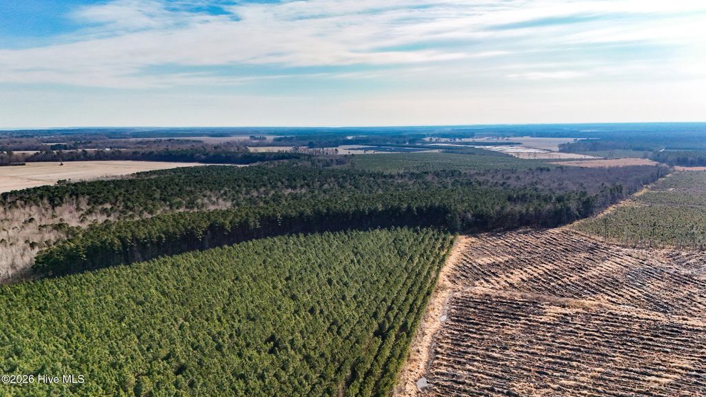 Photo of 27 Ballahack Road, Hertford, NC 27944 (MLS # 100557337)