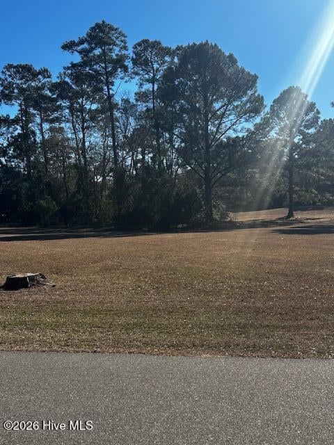 Photo of 83 Oyster Shoals Court SW, Supply, NC 28462 (MLS # 100594327)