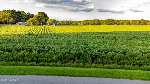 Vacant Land For Sale - TBD Whitehat Road<br/> Hertford, NC 27944