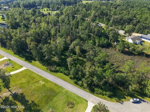Tiny photo for 20 Summer Rest Trail, Hubert, NC 28539 (MLS # 100610833)