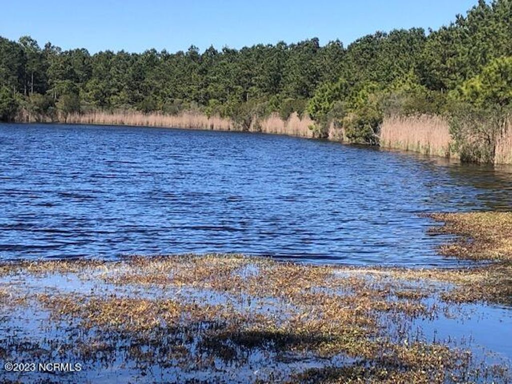 Photo of 123 Dowry Creek E, Belhaven, NC 27810 (MLS # 100366666)