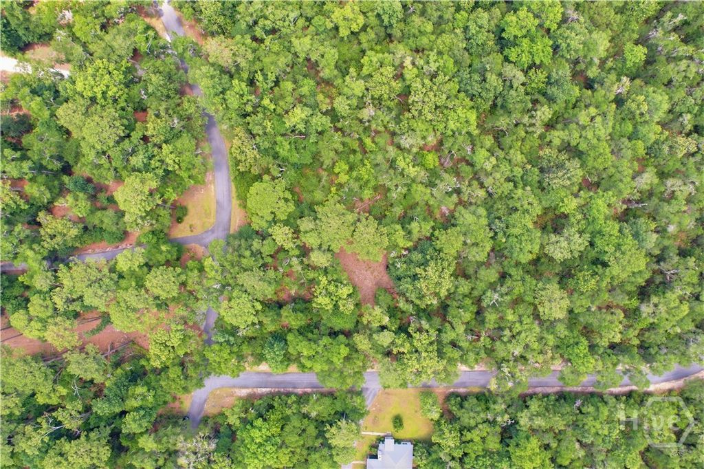 Photo of 67 NE Delegal Drive, Townsend, GA 31331 (MLS # SA358623)