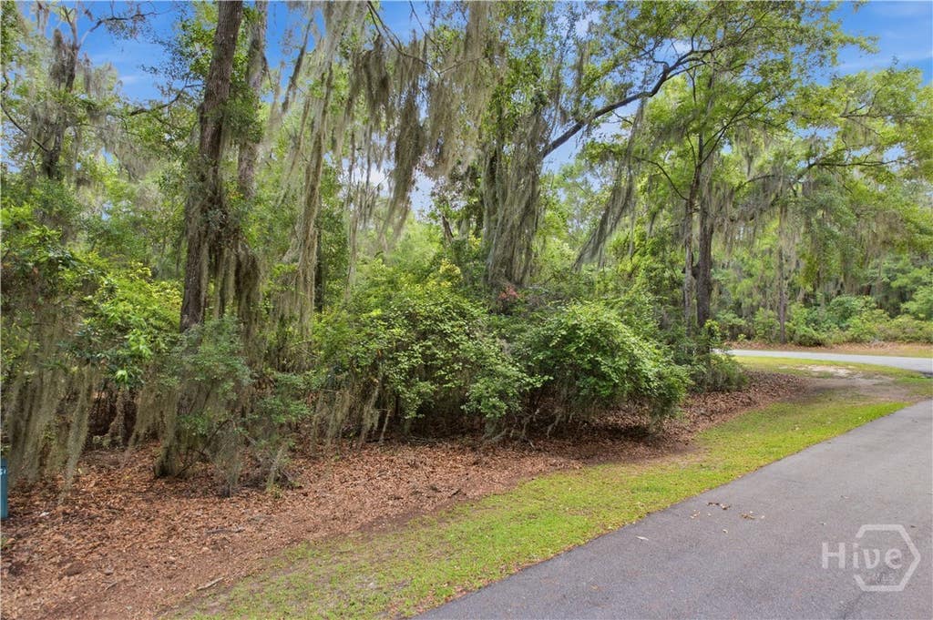 Photo of 67 NE Delegal Drive, Townsend, GA 31331 (MLS # SA358623)