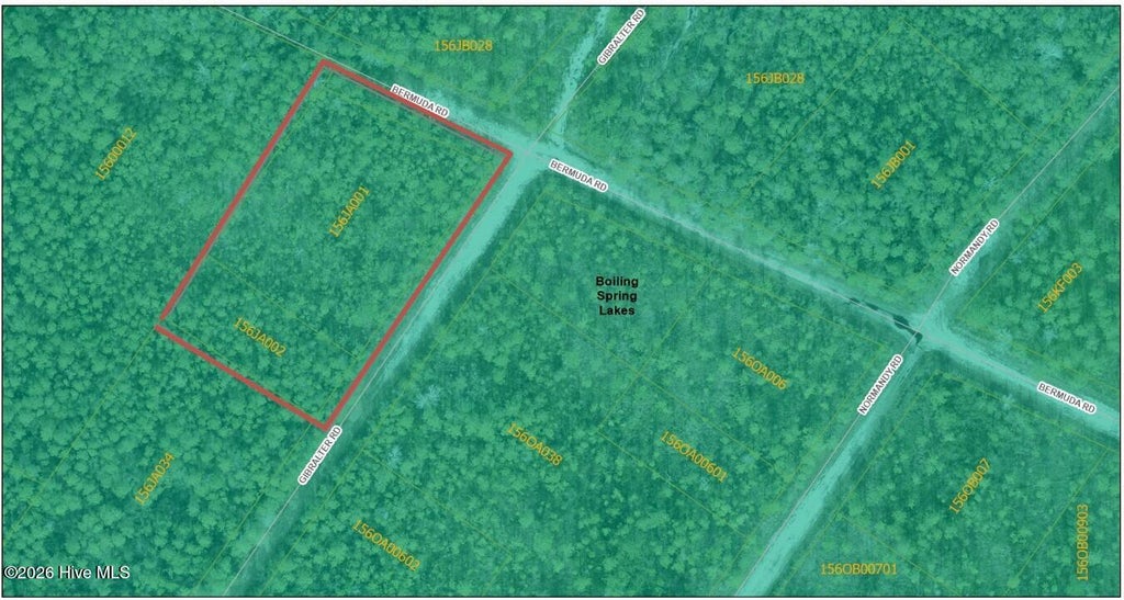 Photo of 743744 Gibralter Road, Boiling Spring Lakes, NC 28461 (MLS # 100610405)