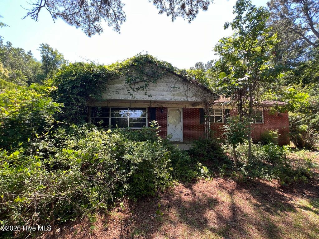 Photo of 9343 North Carolina 131 Highway, Bladenboro, NC 28320 (MLS # 100575696)