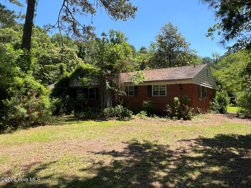 Photo of 9343 North Carolina 131 Highway, Bladenboro, NC 28320 (MLS # 100575696)