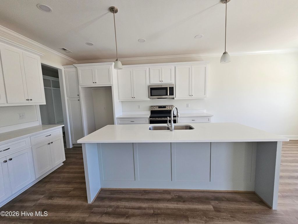 Photo of 177 Country Cove Lane, Clinton, NC 28328 (MLS # 100549957)