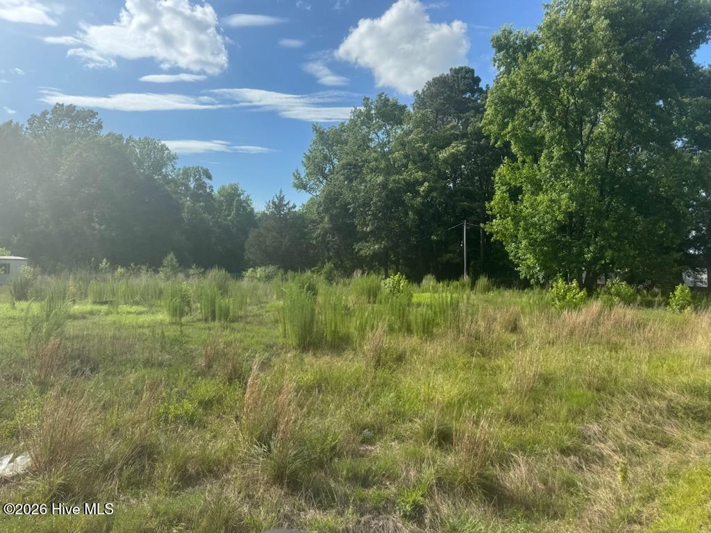 Photo of 447 Jimmy Road, Magnolia, NC 28453 (MLS # 100584928)