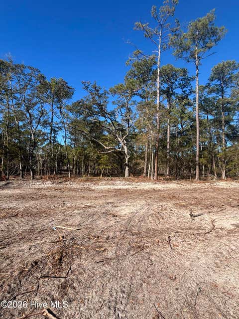 Vacant Land For Sale - LOT 113 Coral Gull Street<br/> Southport, NC 28461
