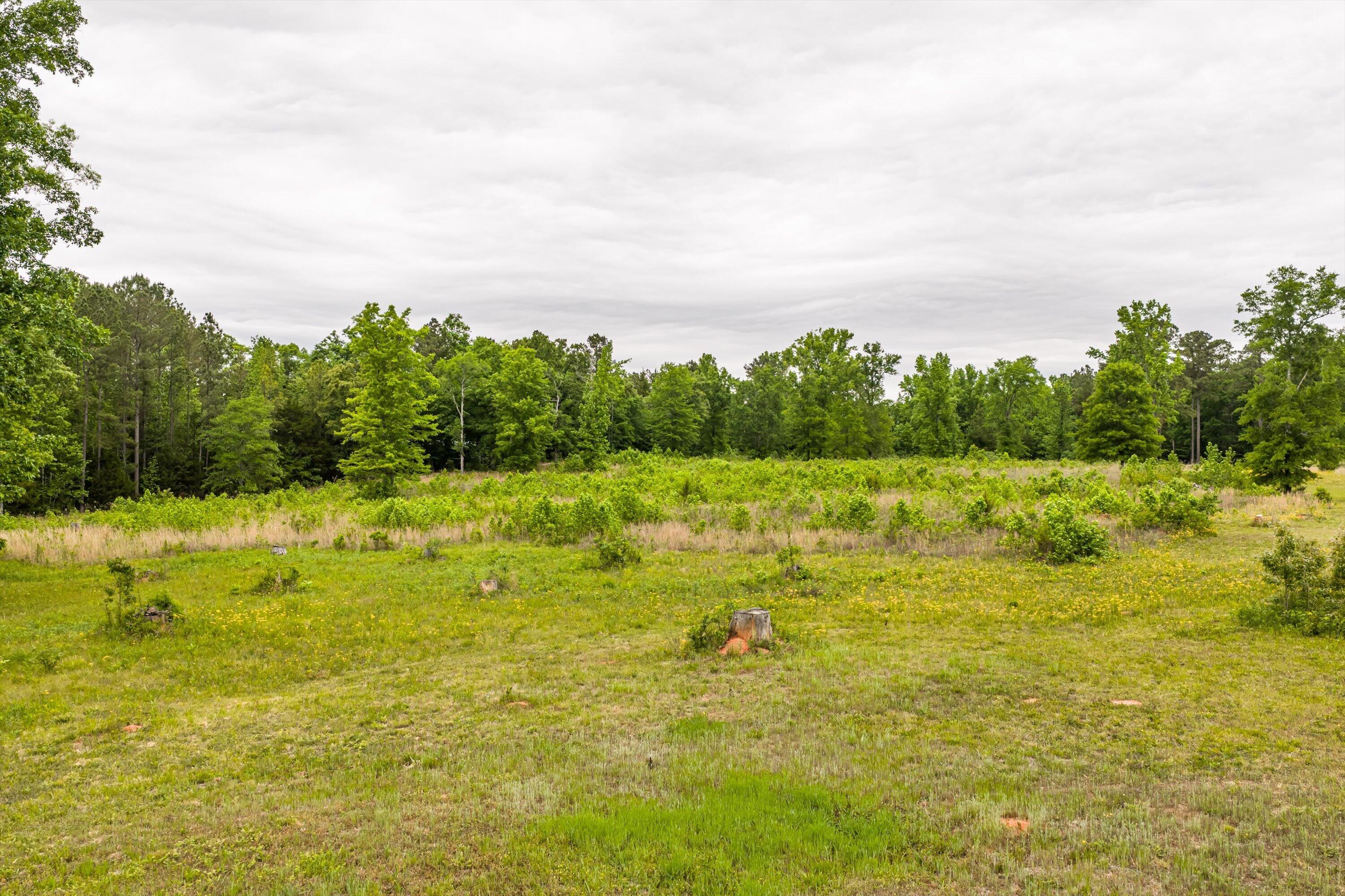 3776 Mt Zion Church Road