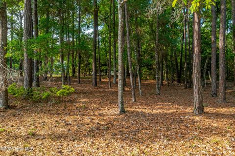 Tiny photo for 1837 Harbour Edge Lane SW, Supply, NC 28462 (MLS # 100574937)