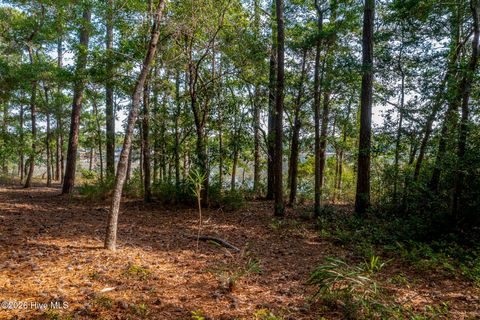 Tiny photo for 1837 Harbour Edge Lane SW, Supply, NC 28462 (MLS # 100574937)