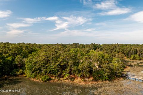 Tiny photo for 1837 Harbour Edge Lane SW, Supply, NC 28462 (MLS # 100574937)