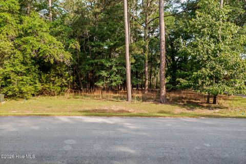 Tiny photo for 1837 Harbour Edge Lane SW, Supply, NC 28462 (MLS # 100574937)