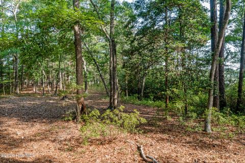 Tiny photo for 1837 Harbour Edge Lane SW, Supply, NC 28462 (MLS # 100574937)