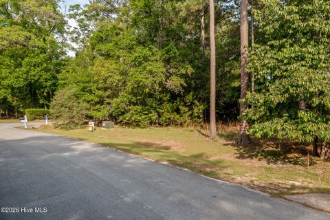 Tiny photo for 1837 Harbour Edge Lane SW, Supply, NC 28462 (MLS # 100574937)