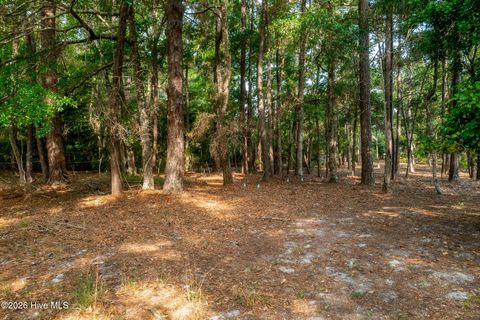 Tiny photo for 1837 Harbour Edge Lane SW, Supply, NC 28462 (MLS # 100574937)