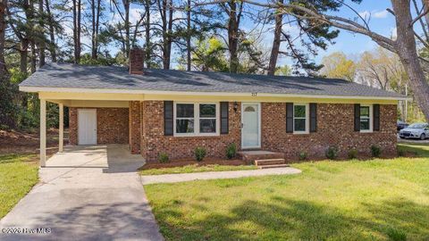 Photo of 717 Cobb Road, Elm City, NC 27822 (MLS # 100565682)