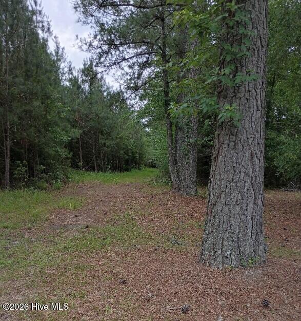 0 Maules Point Road