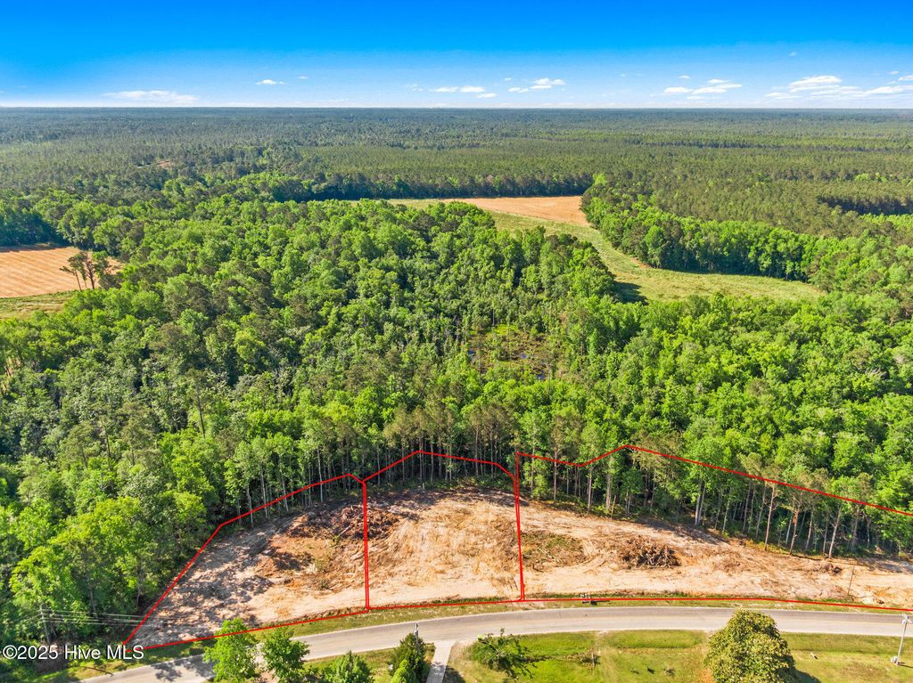 Photo of 0 Old Mill Creek Road SE, Winnabow, NC 28479 (MLS # 100507200)