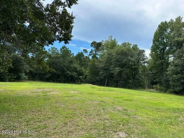 Photo of 270 Williams Store Road, Hampstead, NC 28443 (MLS # 100607738)
