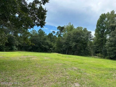 Photo of 270 Williams Store Road, Hampstead, NC 28443 (MLS # 100607738)