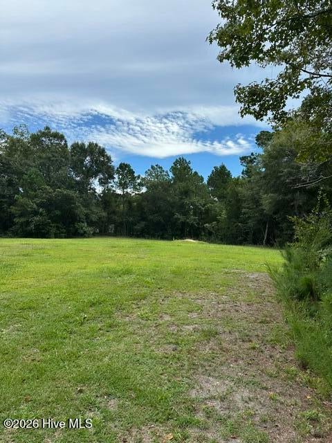 Photo of 270 Williams Store Road, Hampstead, NC 28443 (MLS # 100607738)