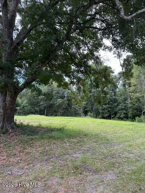Tiny photo for 270 Williams Store Road, Hampstead, NC 28443 (MLS # 100607738)