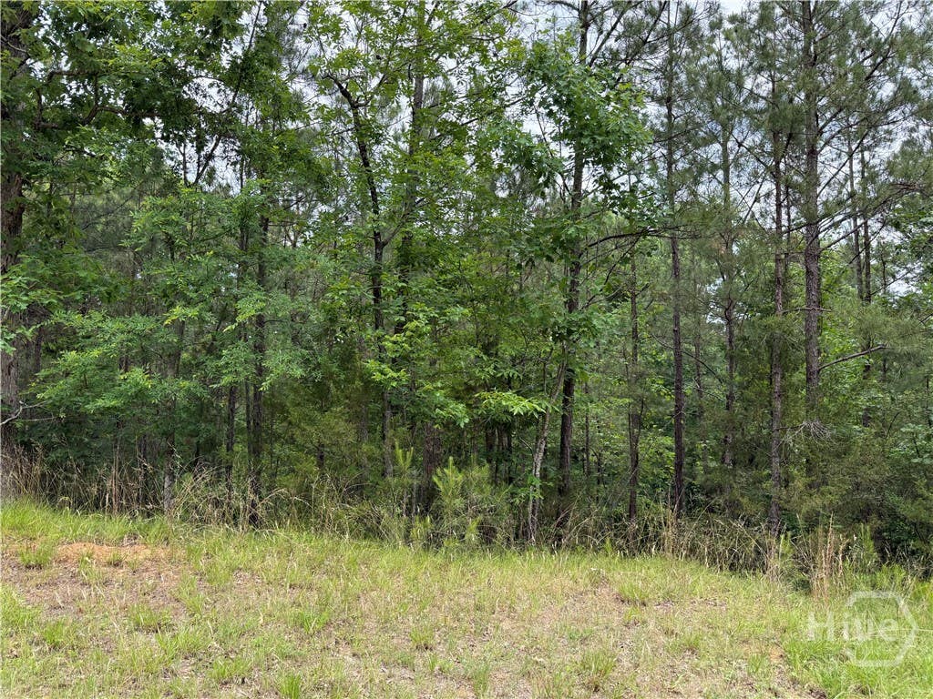 Photo of 51 Bramlett Cr, Elberton, GA 30635 (MLS # CL356074)
