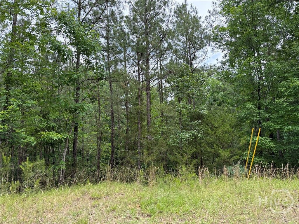 Photo of 51 Bramlett Cr, Elberton, GA 30635 (MLS # CL356074)